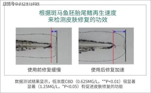 來看看大麻成分的護膚品這幾種明顯的效果