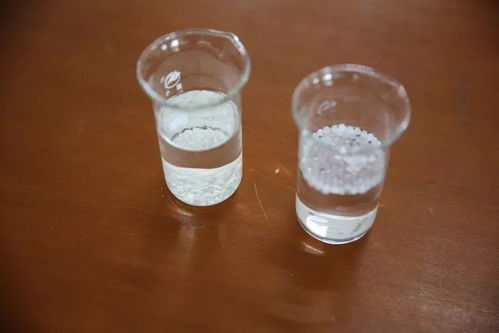 觀辟謠實驗,嘗美味甜品,食品安全牢記心間 潯圖小課堂食安專題活動舉行