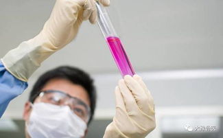 健康│化驗(yàn)之前你要知道的幾件事