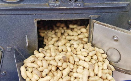 放棄研究生他回鄉創業,兩年就讓公司轉虧為盈