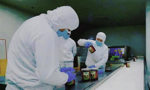 食品安全再上新臺階 叮咚買菜盱眙工廠fssc體系認(rèn)證通過