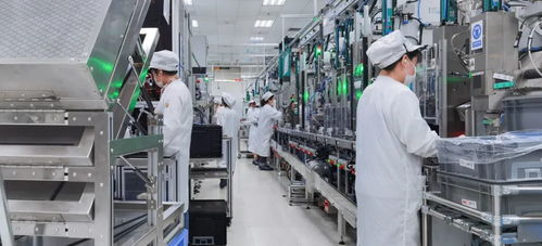 向春而行 協(xié)同一心保生產(chǎn) 上海這個(gè)區(qū)200余家制造業(yè)企業(yè)生產(chǎn)線穩(wěn)定運(yùn)行