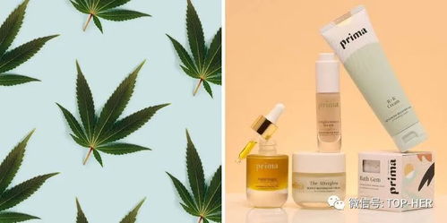 大麻美妝是 概念 還是 未來