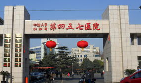 牛皮癬圖片 價(jià)格與型號(hào)規(guī)格指南